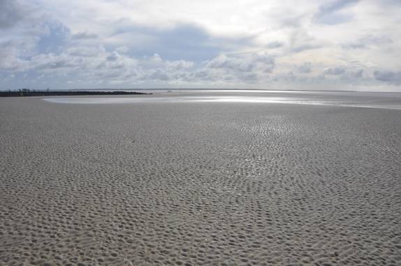 Maré baixa em Algodoal - PA